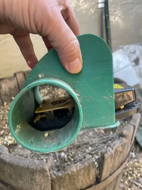 Đường hầm bẫy chuột ngăn chặn động vật khác bị mắc kẹt - Image 3