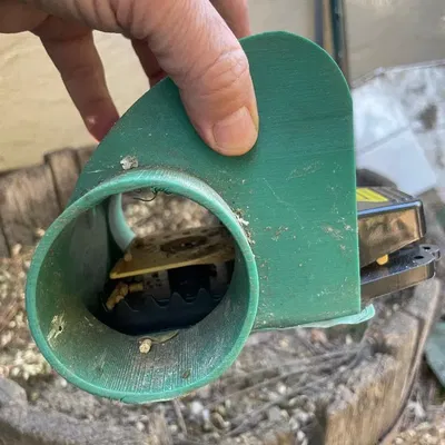 Đường hầm bẫy chuột ngăn chặn động vật khác bị mắc kẹt