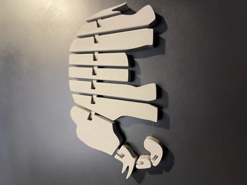 Voi Flexi vui nhộn cho trẻ em chơi đùa - Image 1