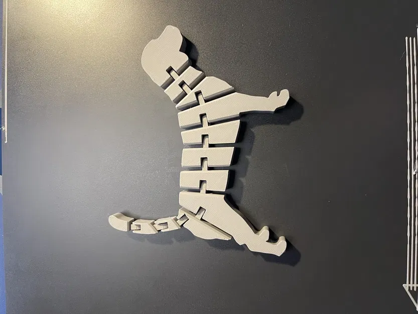 Chó Flex 2 vui nhộn cho trẻ em - Image 1