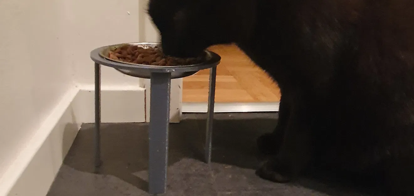 Máy cho mèo phiên bản 2 cải tiến - Image 1