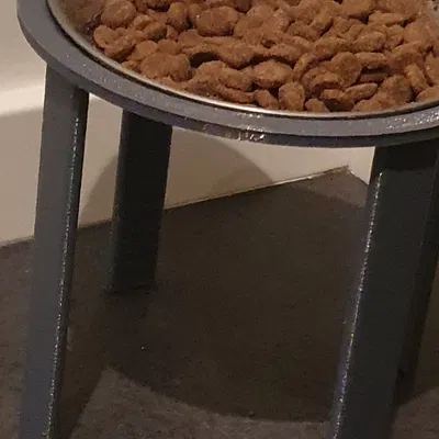 Máy cho mèo phiên bản 2 cải tiến