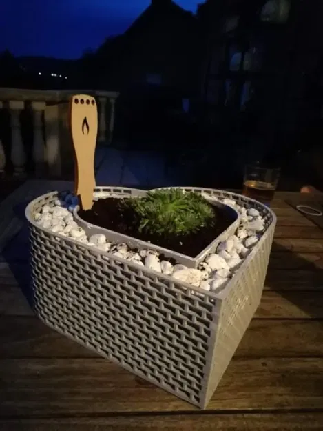 Chậu cây hình trái tim cho cây succulent - Image 3