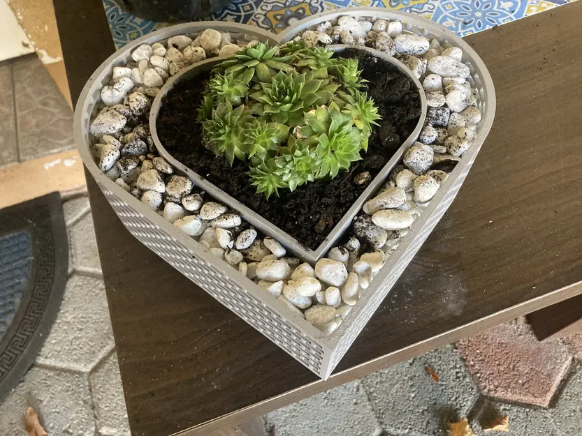 Chậu cây hình trái tim cho cây succulent - Image 6