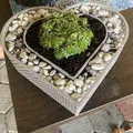 Chậu cây hình trái tim cho cây succulent - Thumbnail 6