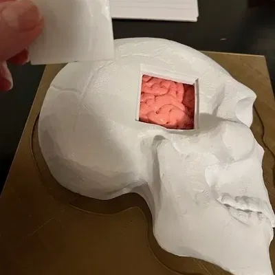 Mô hình y tế mô phỏng quy trình khoan burr