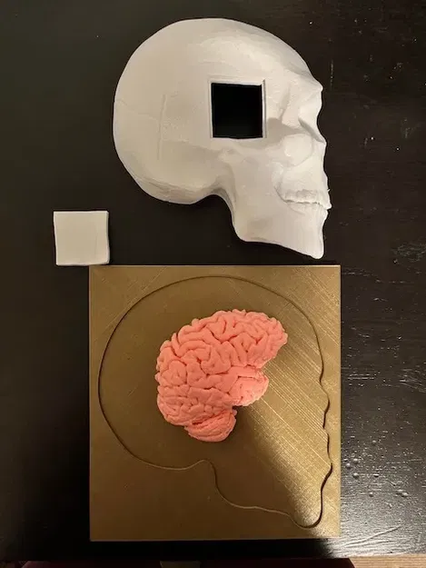 Mô hình y tế mô phỏng quy trình khoan burr - Image 2