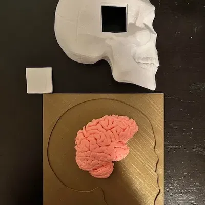 Mô hình y tế mô phỏng quy trình khoan burr