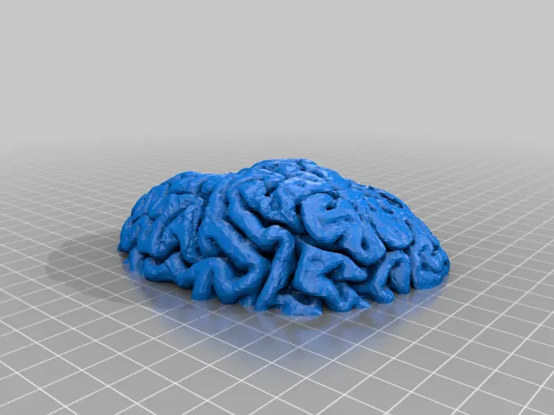 Mô hình y tế mô phỏng quy trình khoan burr - Image 8