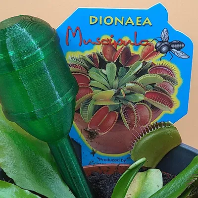 Thùng nước mini cho cây trồng trong nhà