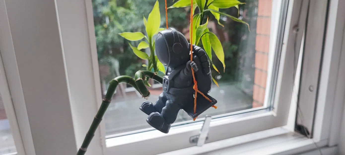 Phi hành gia đang đu trên xích đu - Image 4