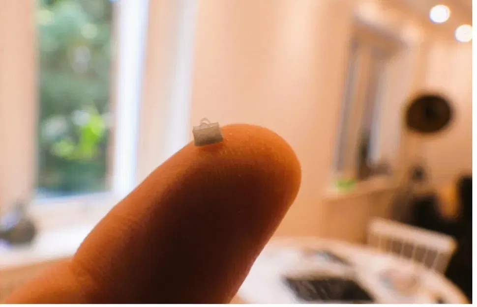 Túi Louis Vuitton in 3D cho công chúa của bạn - Image 2