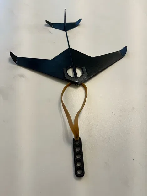 Máy bay nhẹ Flieger Sumo in 3D bay nhanh - Image 4