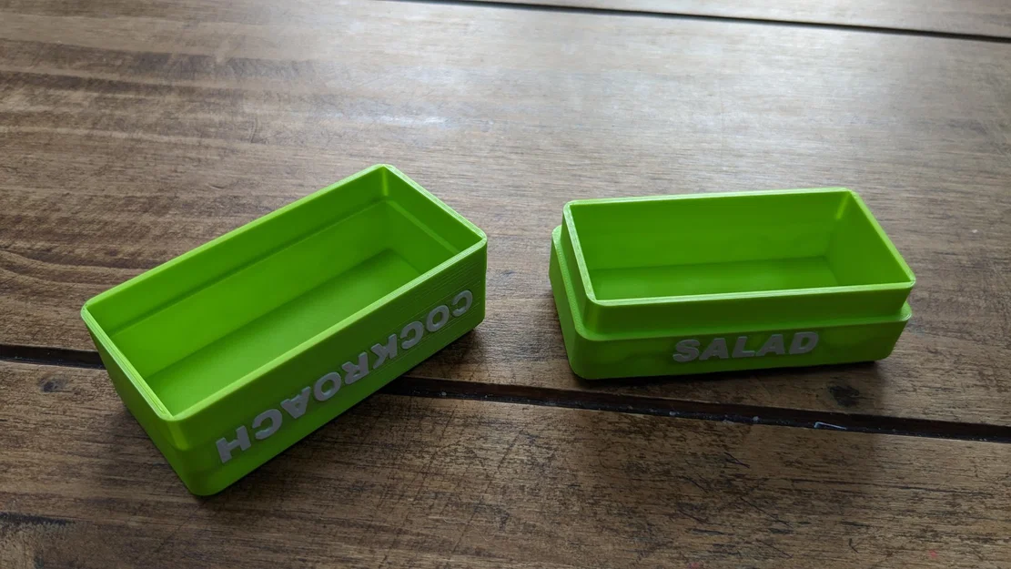 Hộp lưu trữ trò chơi board game Salad Gián - Image 2