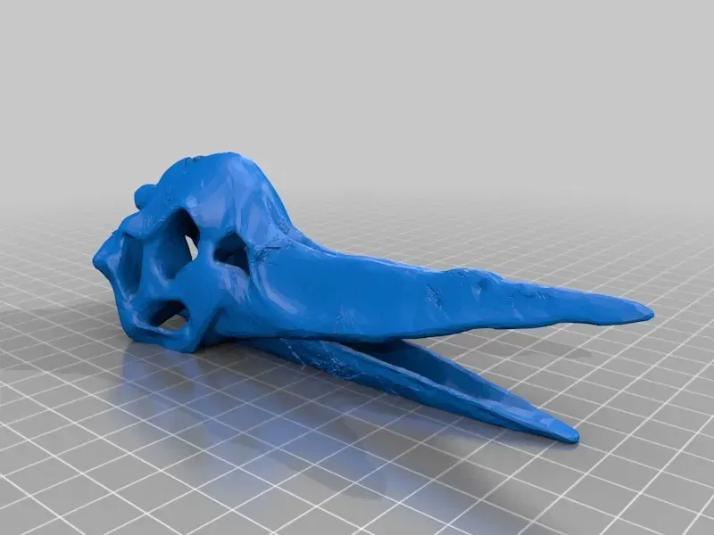 Xương sọ Pteranodon chi tiết cho in 3D - Image 2