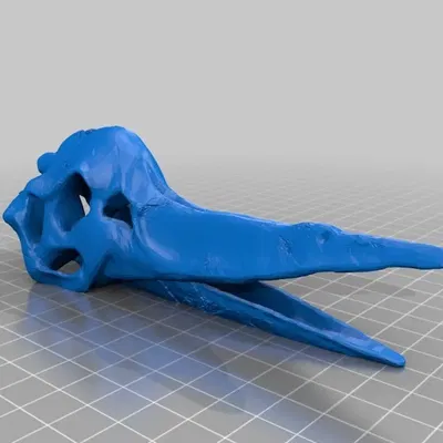 Xương sọ Pteranodon chi tiết cho in 3D