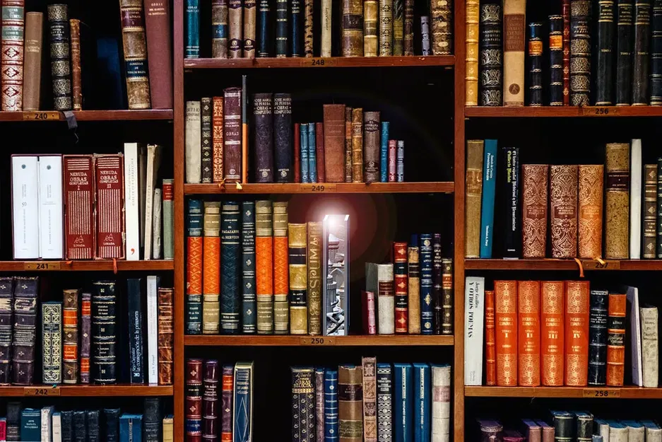 Giá sách ma thuật - Chìm đắm trong sách vở - Image 4