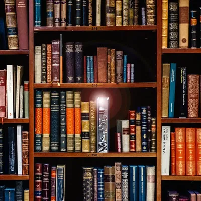 Giá sách ma thuật - Chìm đắm trong sách vở