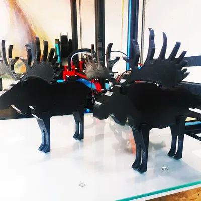 Moose Thụy Điển Hoàn Toàn Màu Trắng