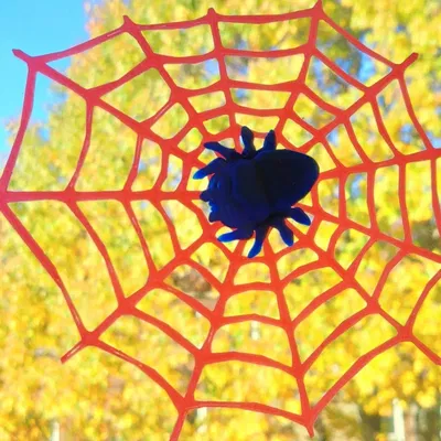Nhện Lucas - Trang trí cửa sổ dễ thương