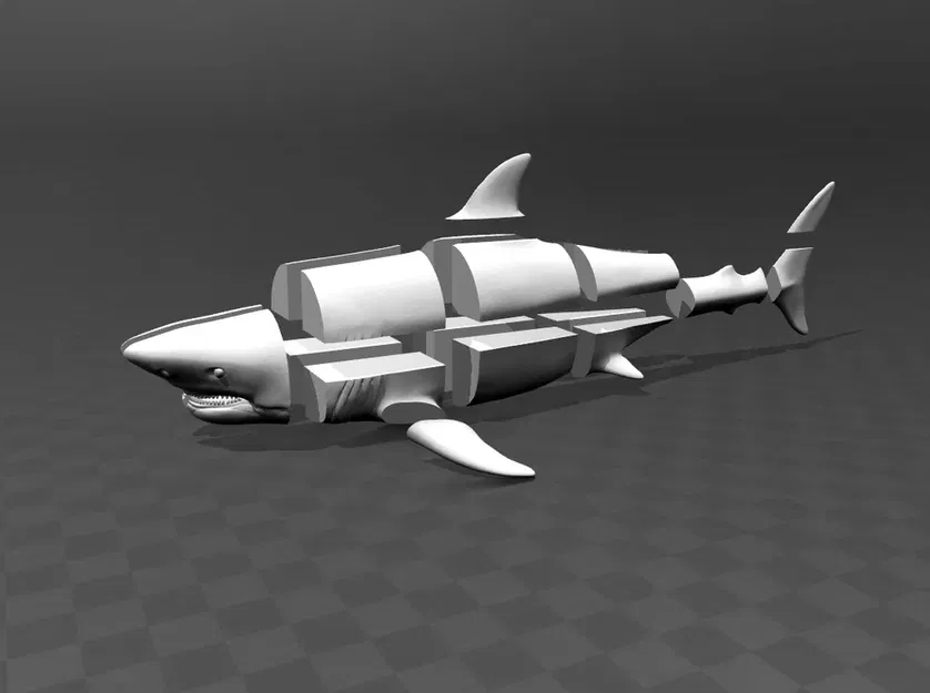 Cá mập trắng lớn tỷ lệ 1:1 - Image 2