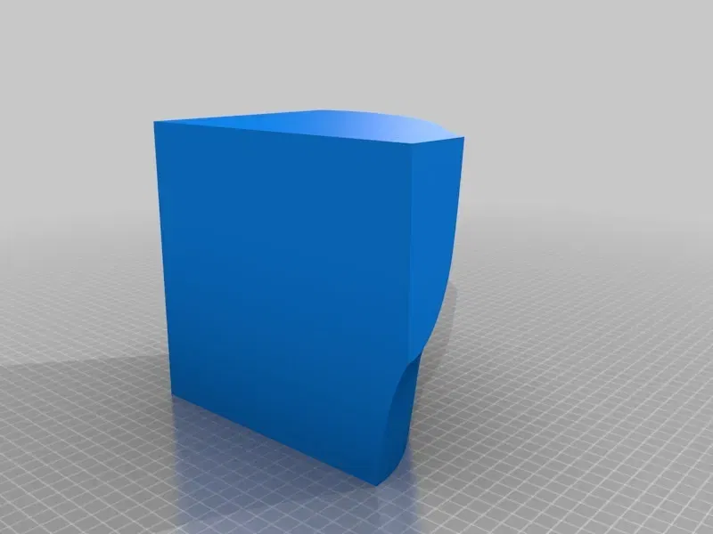 Cá mập trắng lớn tỷ lệ 1:1 - Image 12