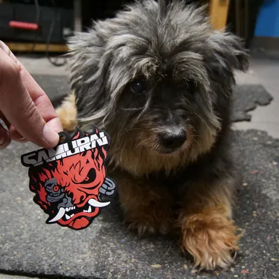 Móc khóa Samurai phong cách Cyberpunk 2077