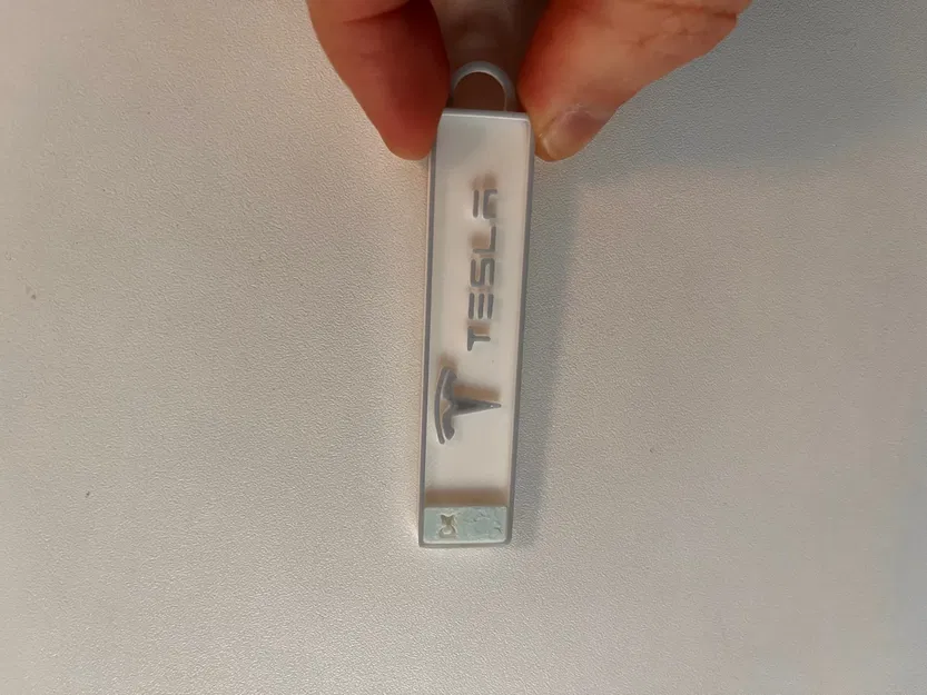 Móc chìa khóa biển số Tesla độc đáo - Image 1