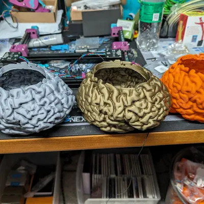 Chậu cây hoặc đĩa kẹo hình não người