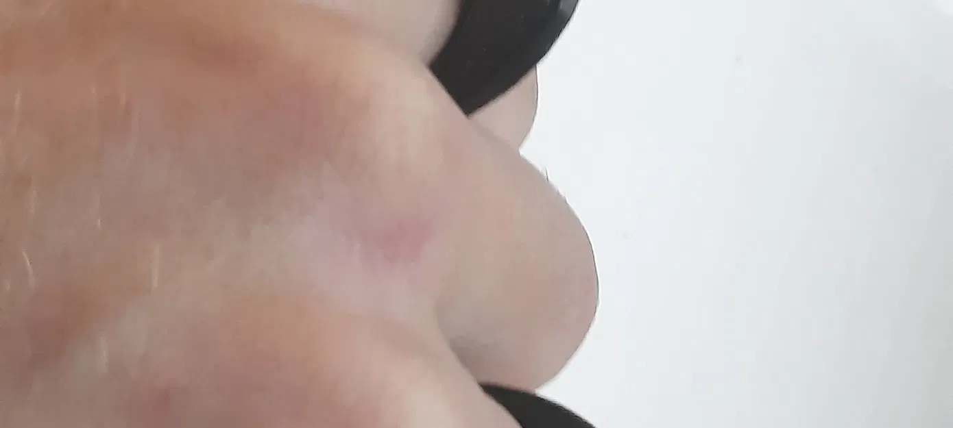 Rắn túi nhỏ - Công cụ tự vệ tiện lợi cho bạn - Image 3