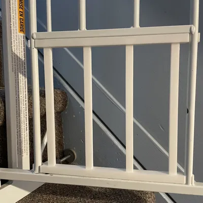 Cửa nhỏ thay thế cho cổng thú cưng Carlson