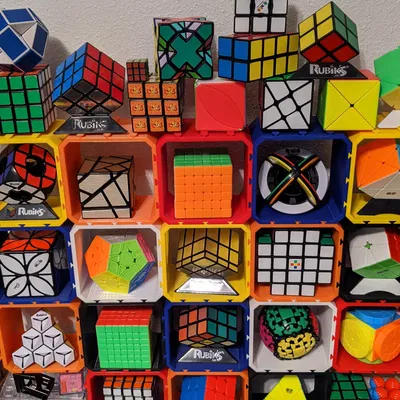 Hộp Trưng Bày Mô-đun (Modular Display Boxes)