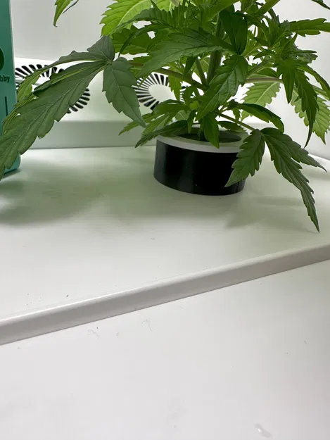 Dụng Cụ Nâng Rổ Lưới Hey Abby - Image 3