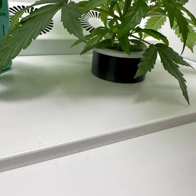 Dụng Cụ Nâng Rổ Lưới Hey Abby