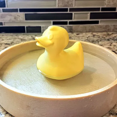 Vịt Cao Su Biết Nổi