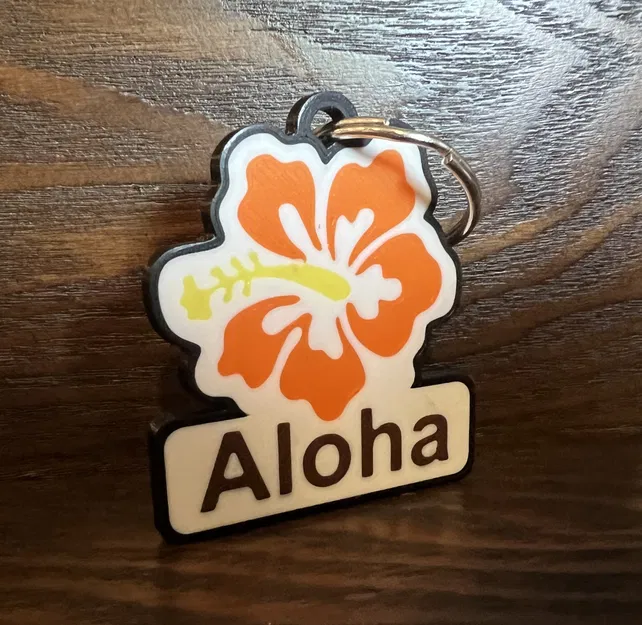 Móc Khóa Aloha Hoa Dâm Bụt Nhiều Màu - Image 1