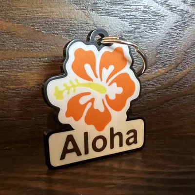 Móc Khóa Aloha Hoa Dâm Bụt Nhiều Màu