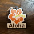 Móc Khóa Aloha Hoa Dâm Bụt Nhiều Màu - Thumbnail 2