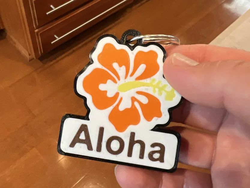 Móc Khóa Aloha Hoa Dâm Bụt Nhiều Màu - Image 5