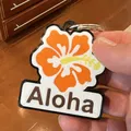 Móc Khóa Aloha Hoa Dâm Bụt Nhiều Màu - Thumbnail 5