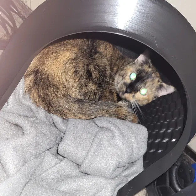 Convoluted Cat Cubby: Vase Mode Box for Animals - Image 1