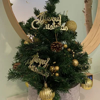 Chân Đế Cây Thông Noel Amazon 60cm