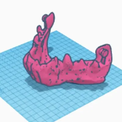 Mặt nạ Mascara Khớp Hàm Kinh Dị