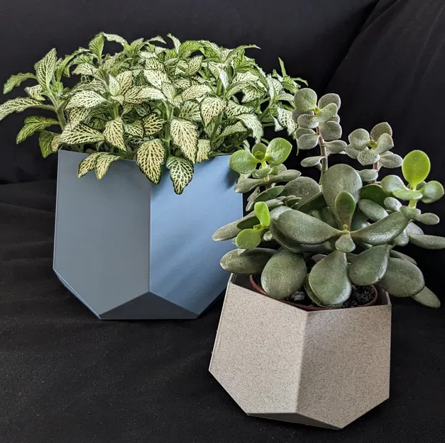 Chậu Cây Hình Học - Image 1
