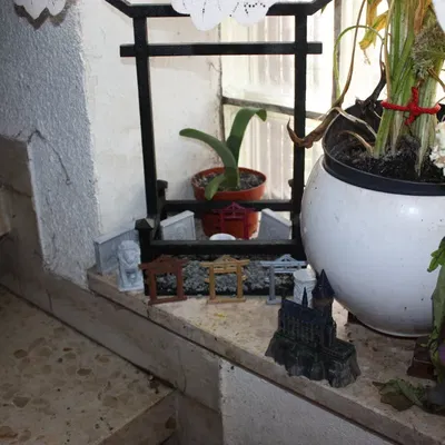 Cổng Báo Tâm Trạng CEO Kiểu Zen