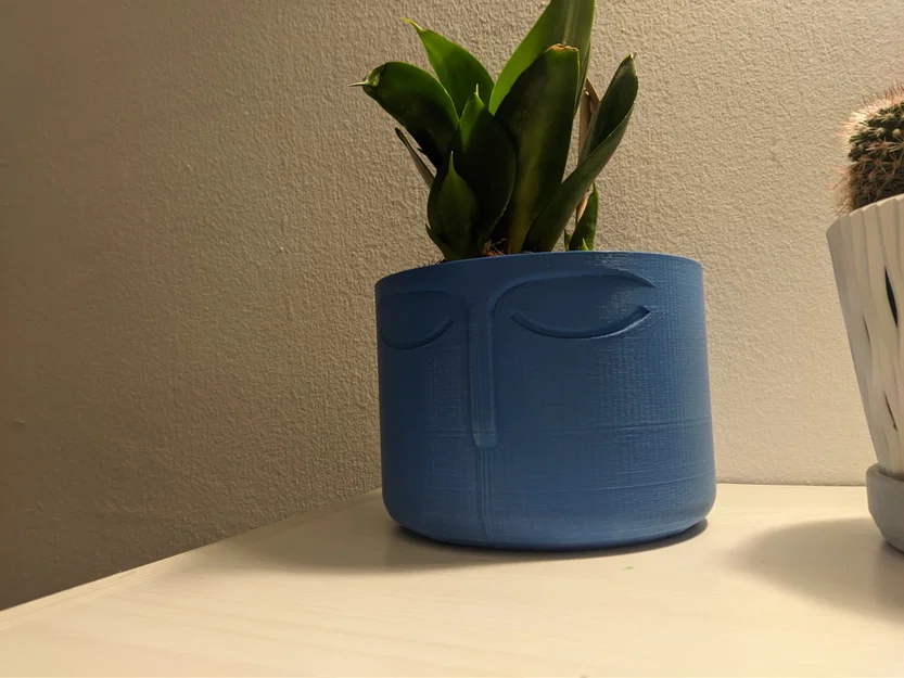 Chậu Hoa Kiểu Bắc Âu Mặt Phật - Image 2