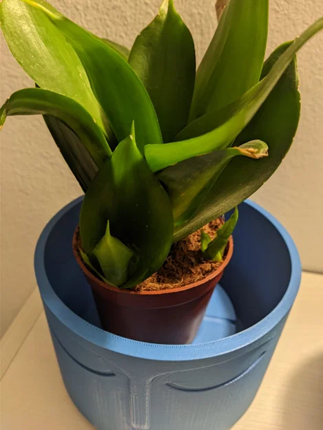 Chậu Hoa Kiểu Bắc Âu Mặt Phật - Image 4