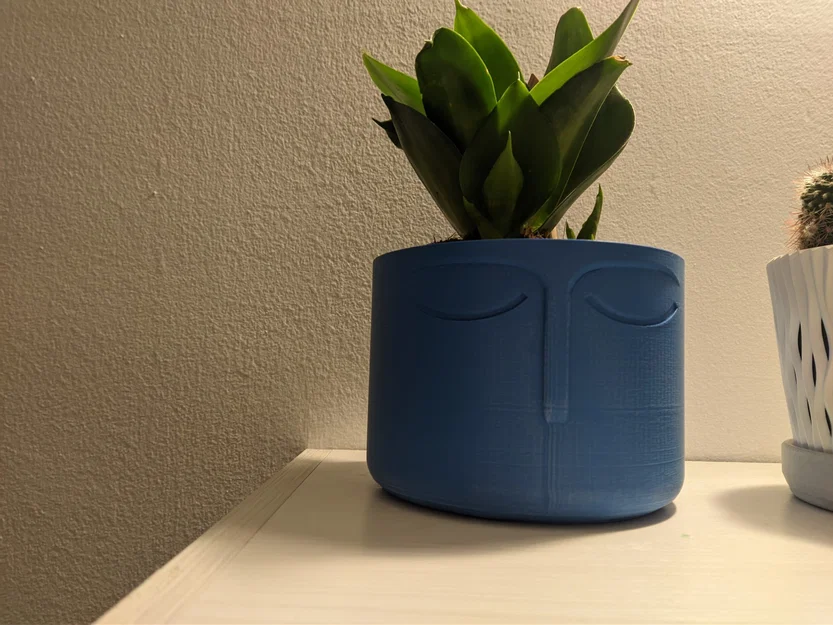 Chậu Hoa Kiểu Bắc Âu Mặt Phật - Image 5