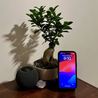 iPhone MagSafe Stand With Apple Watch and Stand by Support