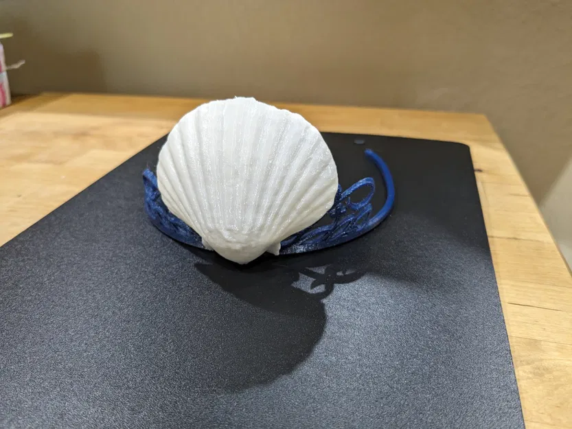 Vương Miện Công Chúa Vỏ Sò - Image 1